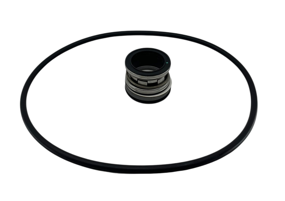 Kit de reparación de juntas tóricas/sellos de carburo de silicona Hypro Life Guard para 9307C y 9308C - 3430-0604