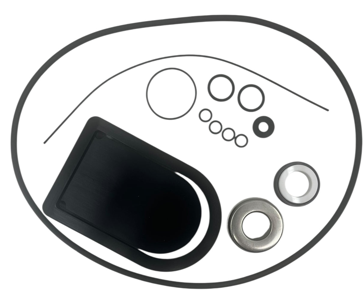 Hypro Viton Seal Kit For 2 Inch Poly Transfer Pump 1540 And 9342 Series - 3430-0659