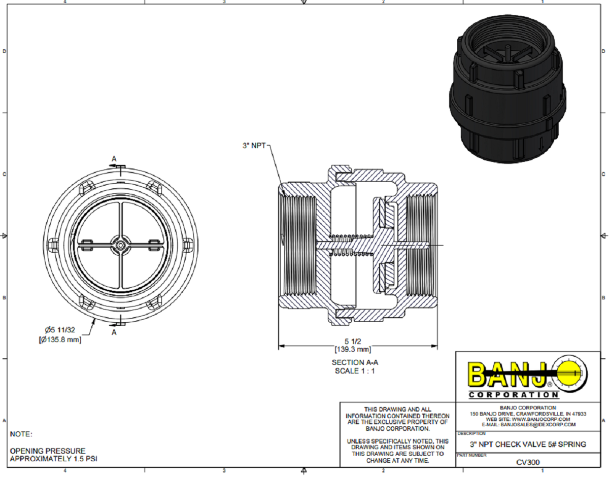 Banjo 3 Inch Female NPT Full Port Check Valve Assembly, 300 PSI - CV300