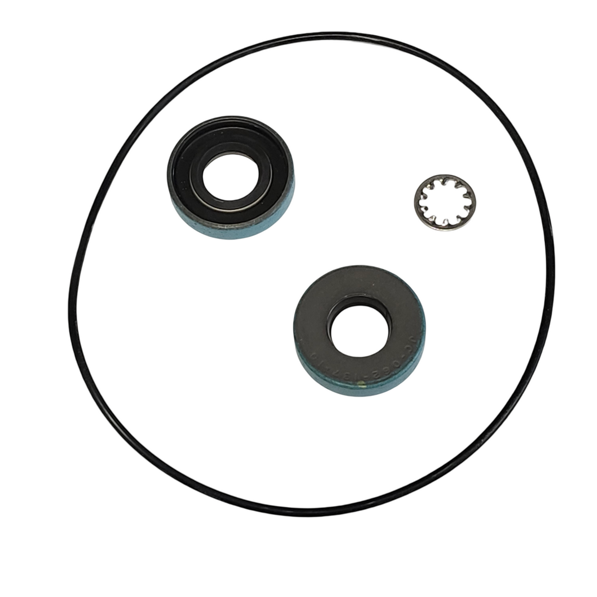 Ace Pumps Lip Seal Kit for PTO Pumps - RK-FMCL (51900)