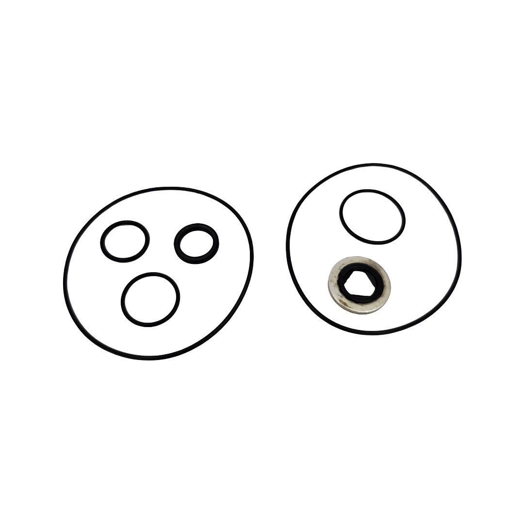 Ace Pumps Repair Kit for 310 Series Motors - RK-BAC-75-HYD-310 (41379)