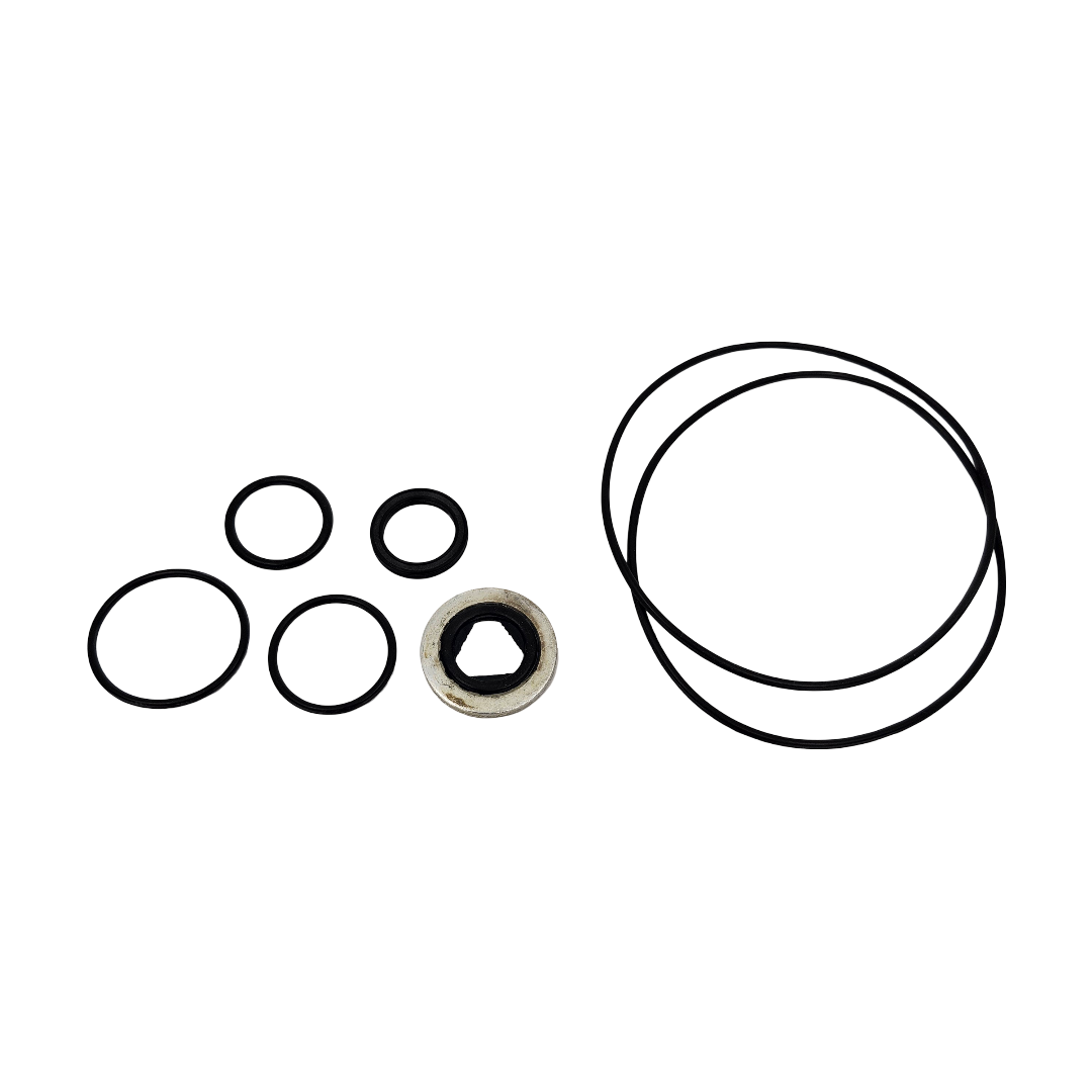 Ace Pumps Repair Kit for 310 Series Motors - RK-BAC-75-HYD-310 (41379)