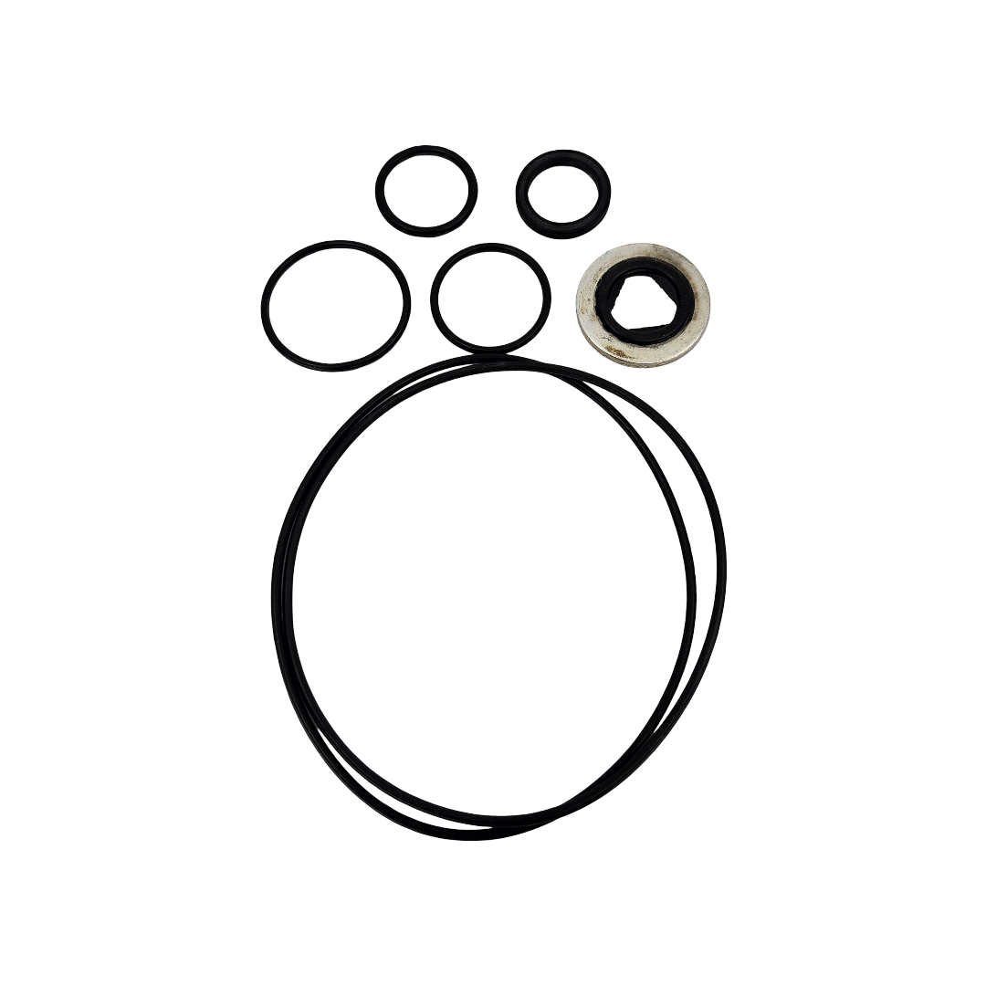 Ace Pumps Repair Kit for 310 Series Motors - RK-BAC-75-HYD-310 (41379)