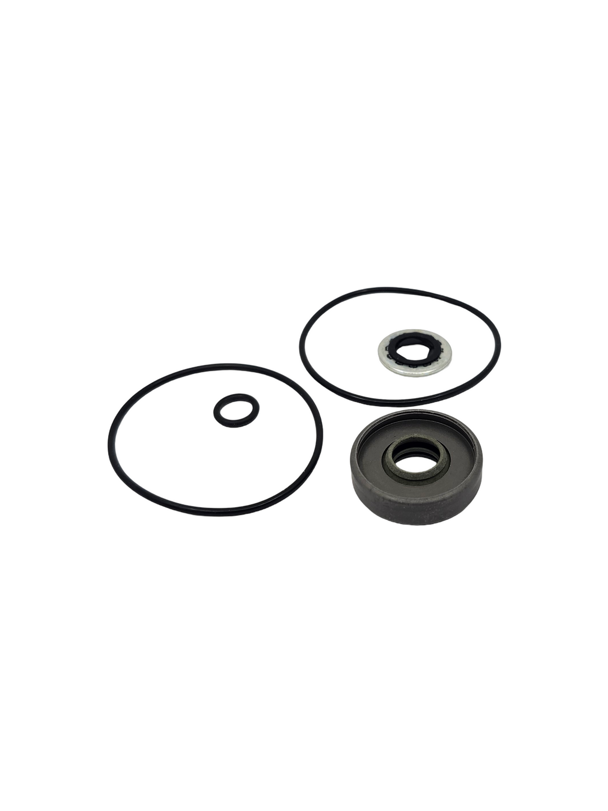 Ace Pumps Repair Kit for 200 Series Motors - RK-BAC-75-HYD-L (41374)