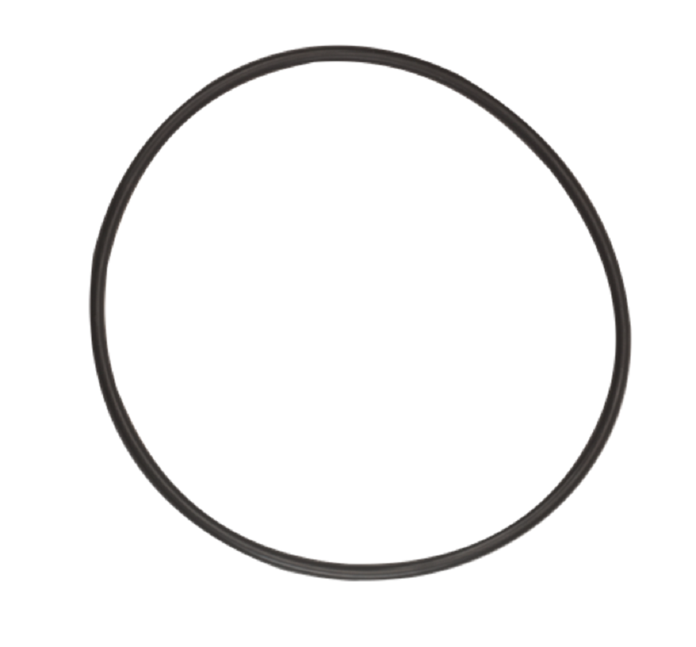 Banjo FKM Cap Gasket for 3 Inch Y Strainers - MLS300GV