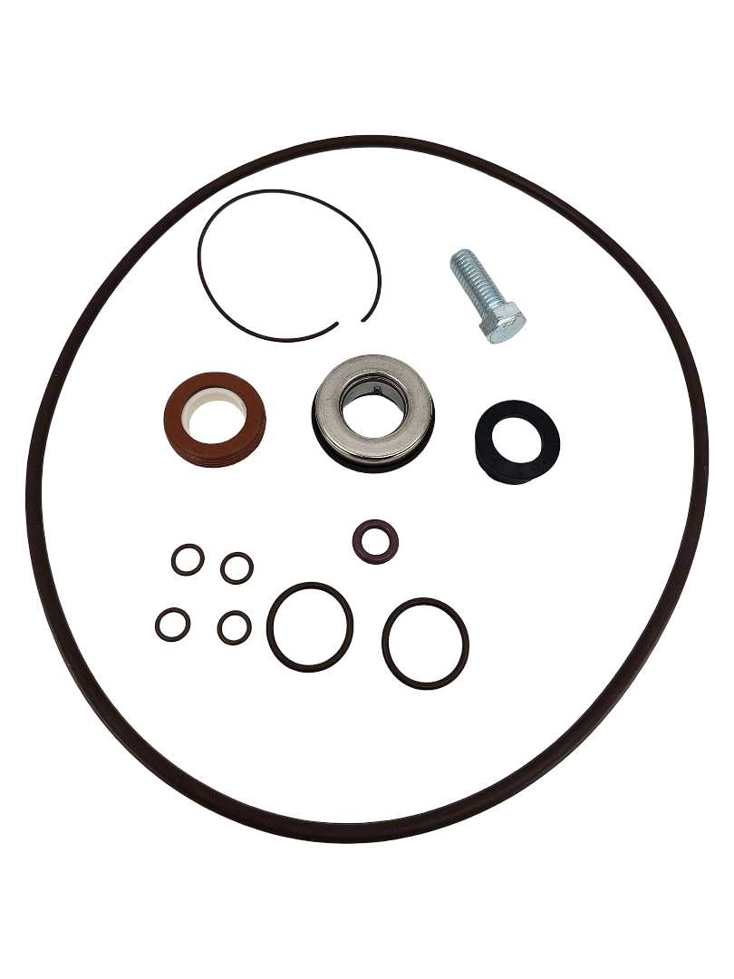 Banjo 3 Inch Pump Viton O-Ring Kit - 13999V