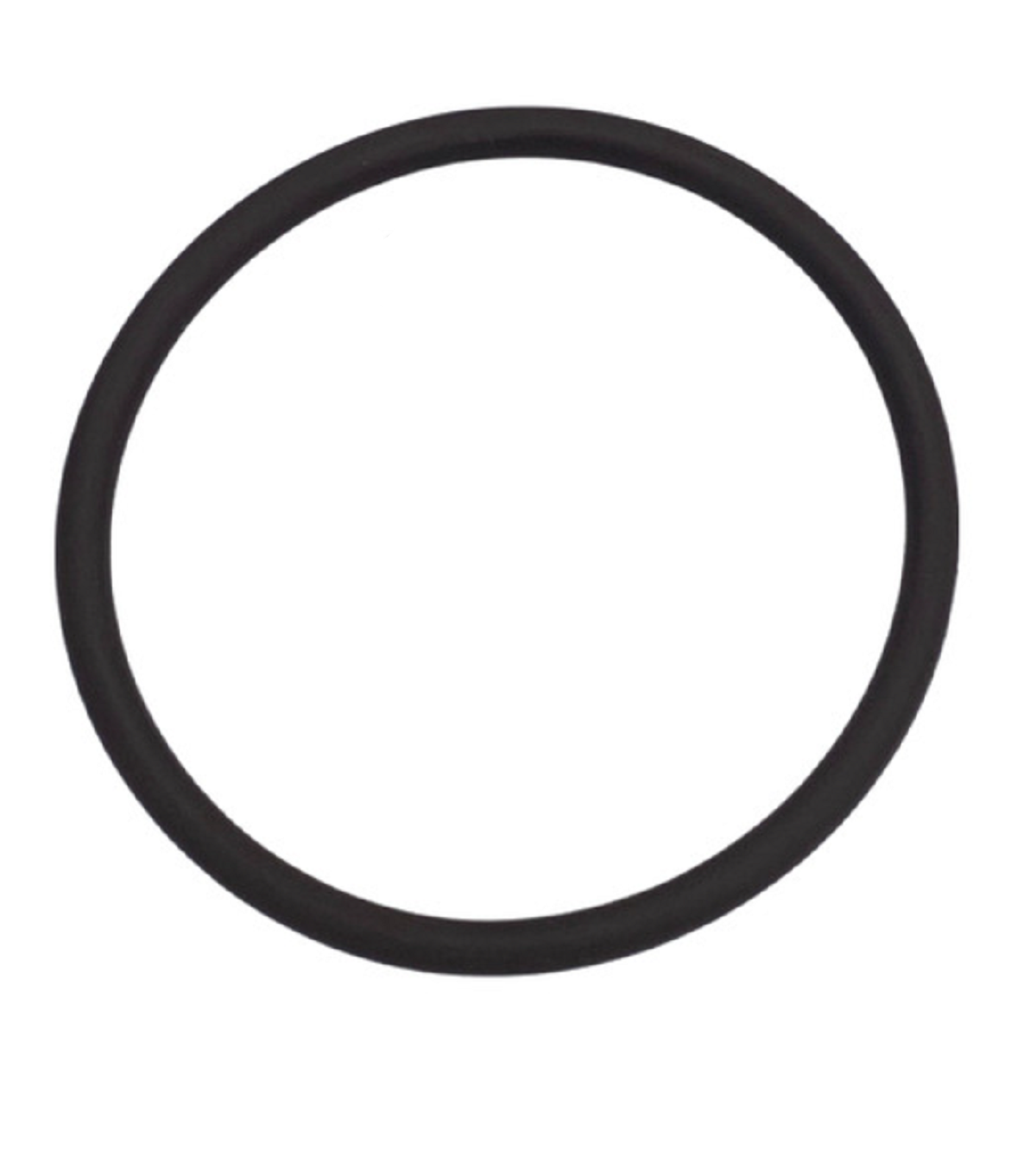 Banjo FKM T Strainer Gasket for 3/4" And 1" T Strainers - LST100-GV