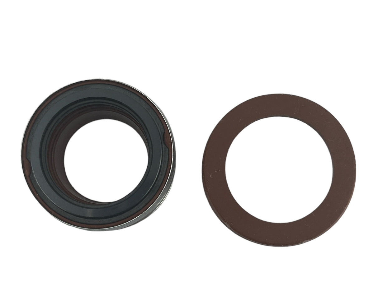 Franklin Electric Mechanical Shaft Seal Kit for FBSTF Pump - 305463193