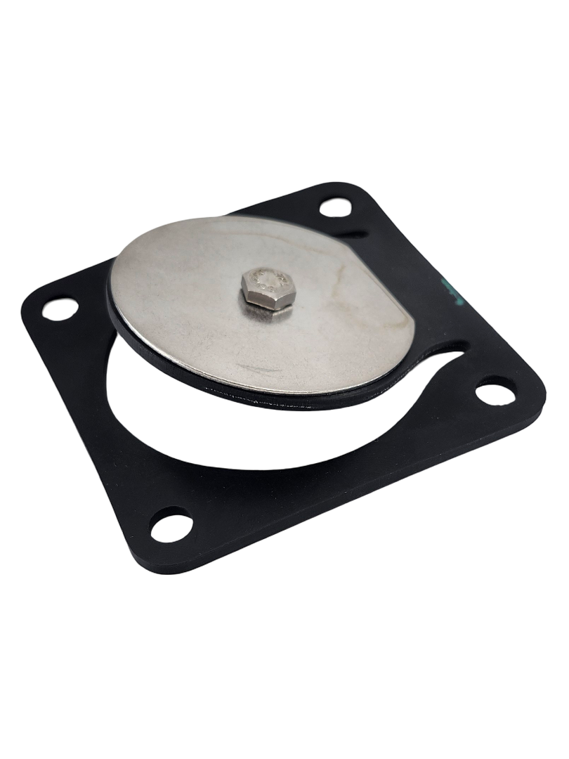 Banjo Inlet Flange Viton Gasket and Check Assembly for Stainless Pumps - 17017