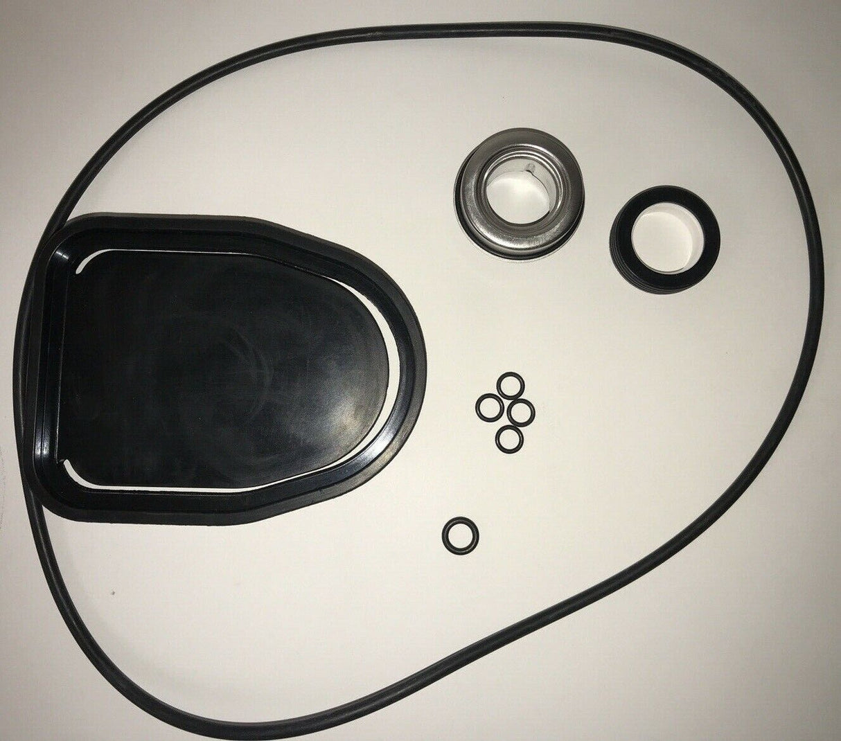 Hypro Seal Kit Poly for Transfer Pump - 3430-0757