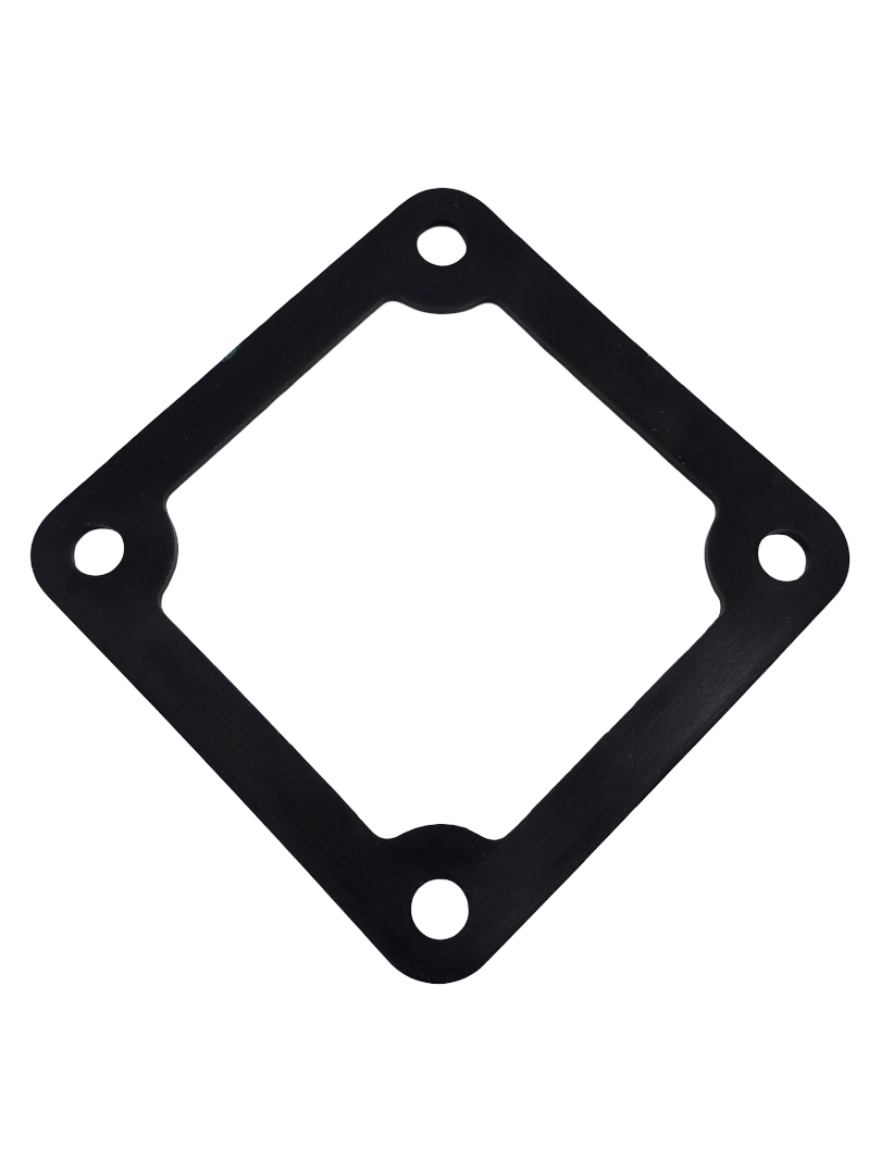 Banjo 2 Inch Stainless Steel Pump Outlet Flange Gasket, Viton - 17014