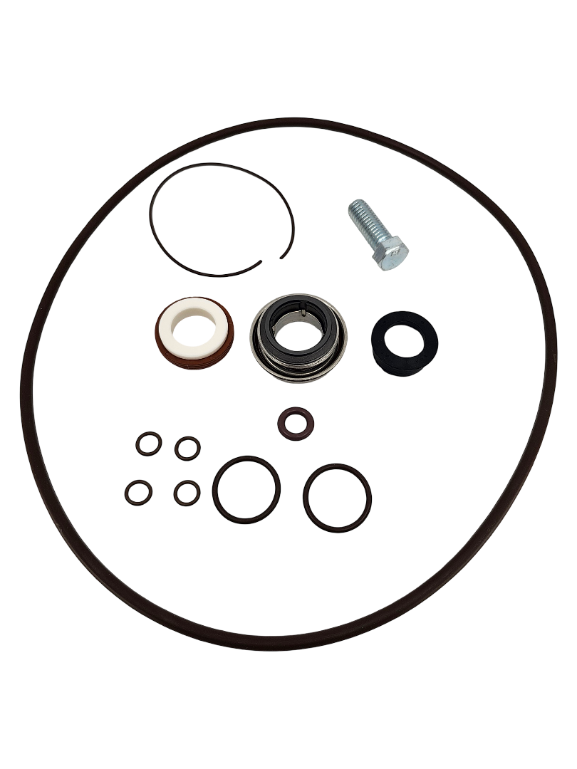 Banjo 3 Inch Pump Viton O-Ring Kit - 13999V