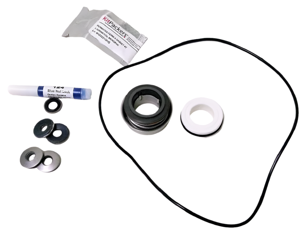 Ace Pumps Repair Seal Kit For GE-660 Centrifugal Pump - RK-GE-660 (61162)