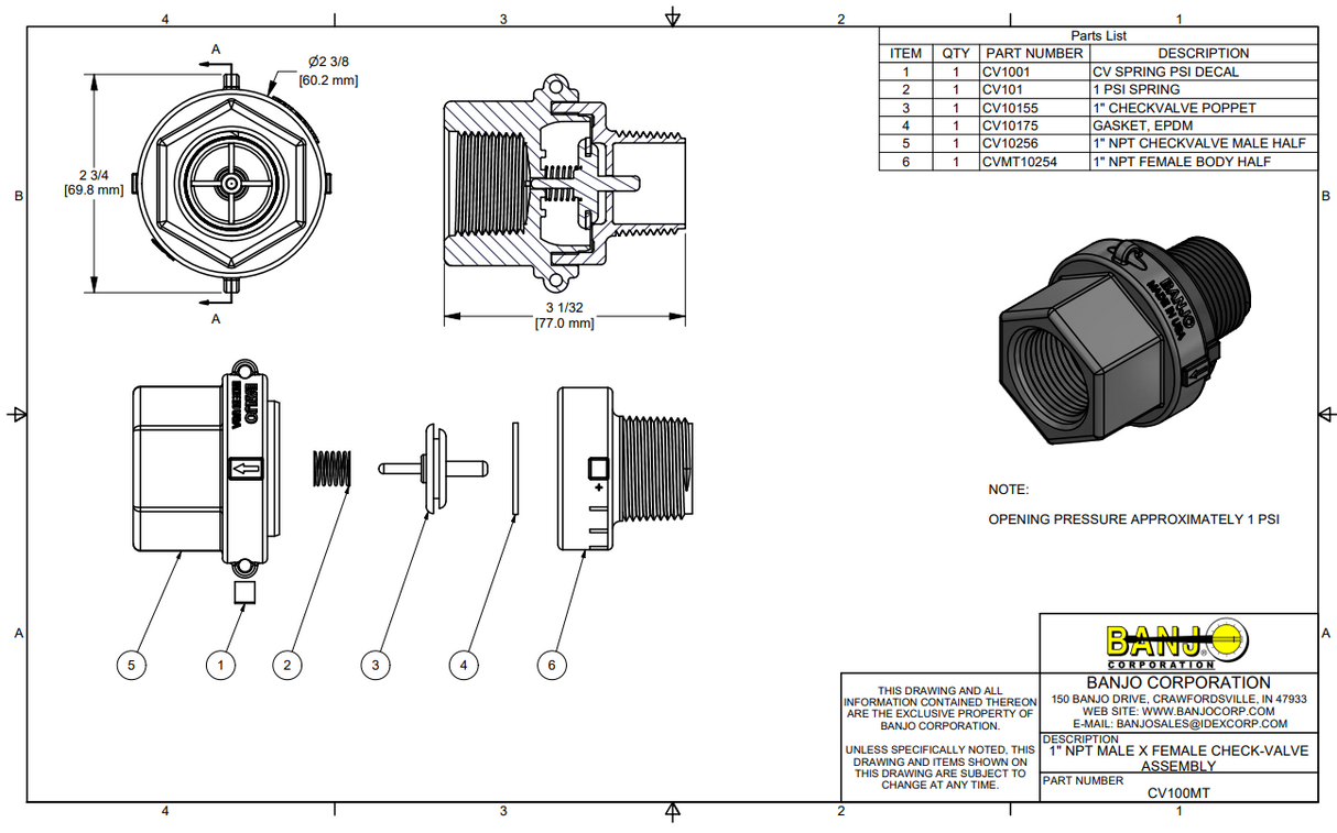 Banjo Polypropylene Check Valve 1" Male NPT X 1" Female NPT - CV100MT