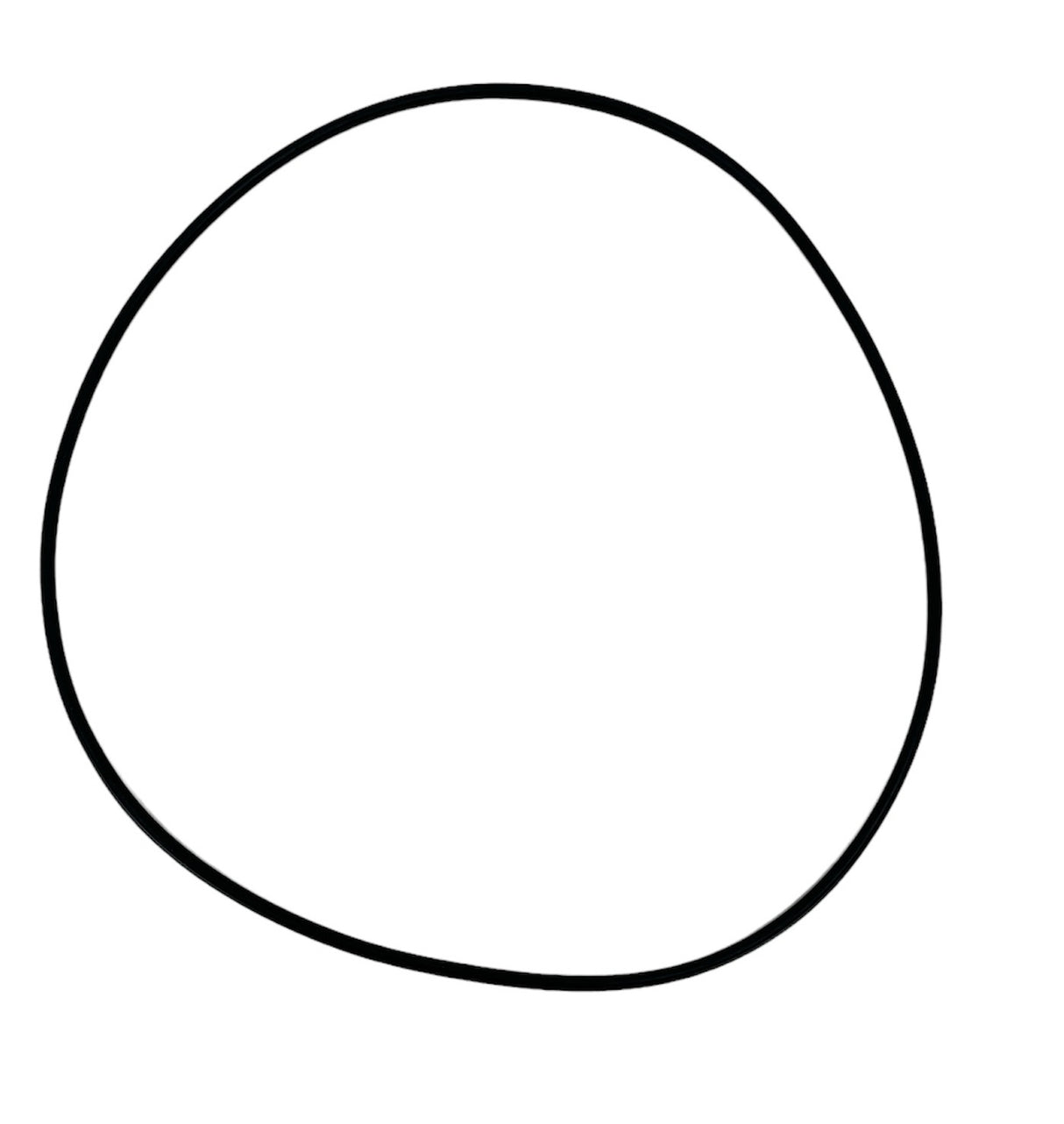 Hypro O-Ring for Aluminum Transfer Pump - DS-501-002