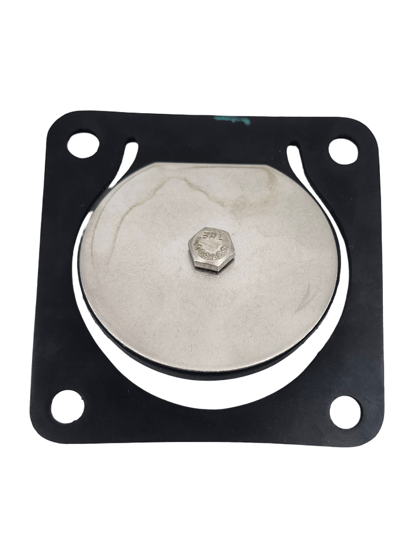 Banjo Inlet Flange Viton Gasket and Check Assembly for Stainless Pumps - 17017