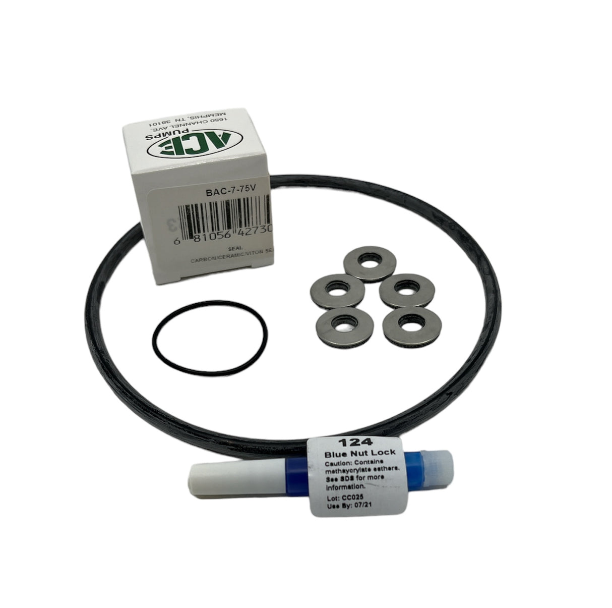 Ace Pumps Repair Seal Kit for FMC-75-HYD, GE-75 Series Pump - RK-GE-75 (60840)