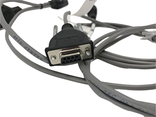 Raven Cruizer II Port Expander Cable With Speed Output - 115-0171-793