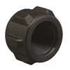 Banjo Black Poly Pipe Cap 3/4" Female NPT - CAP075