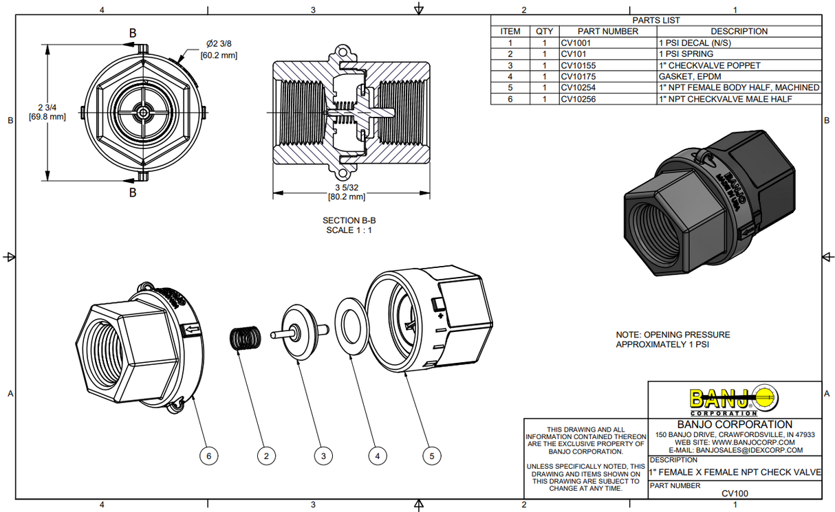 Banjo Full Port Check Valve Assembly, 1" FPT, 300 PSI - CV100