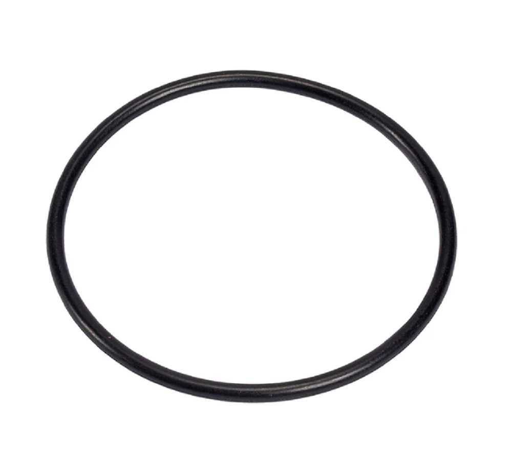 Hypro Gasket for Nylon Line Strainers - 1700-0057