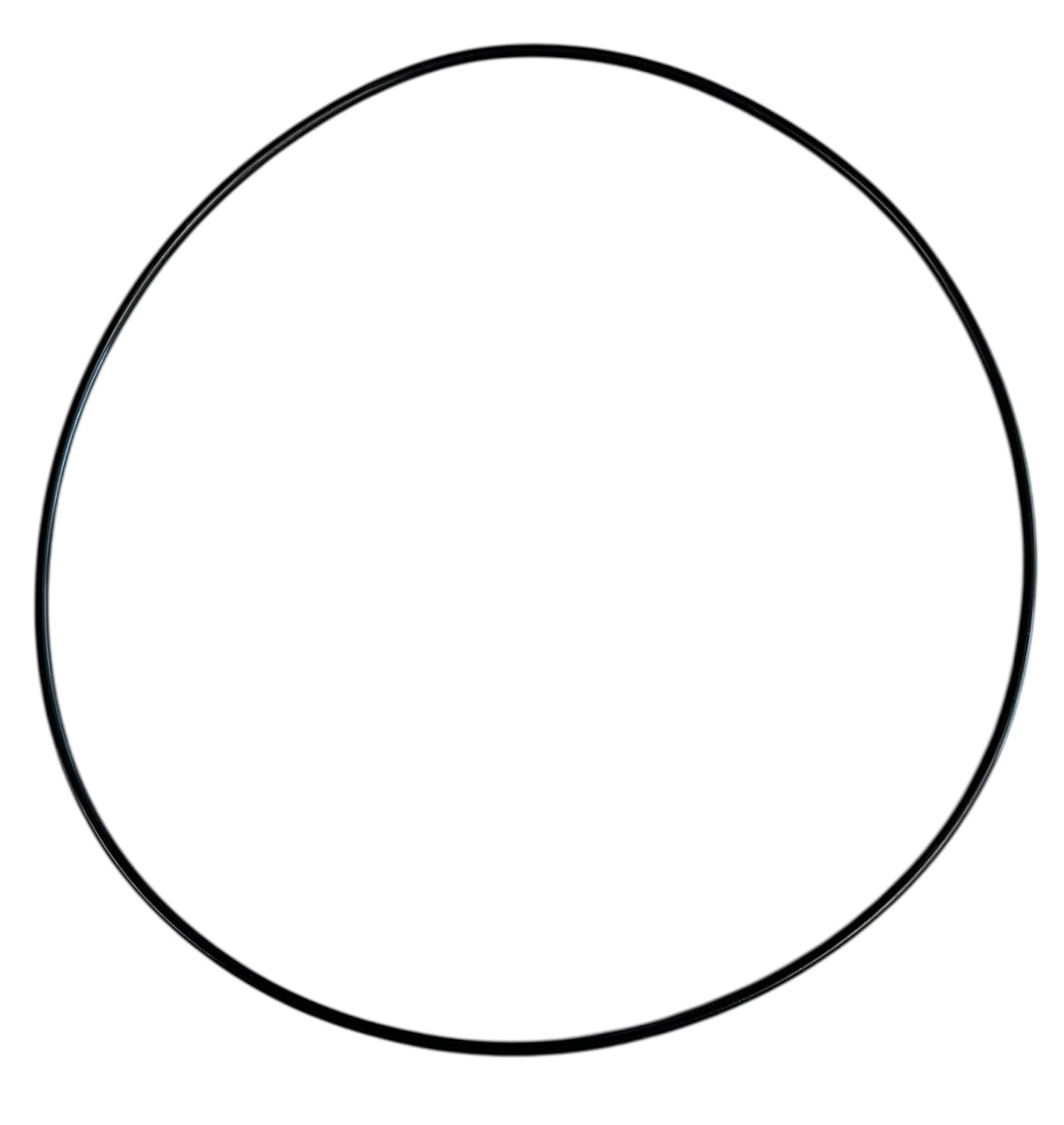 Ace Pumps Body Seal Viton O-Ring for BAC-12-150 Volute - BAC-4-150 (40015)