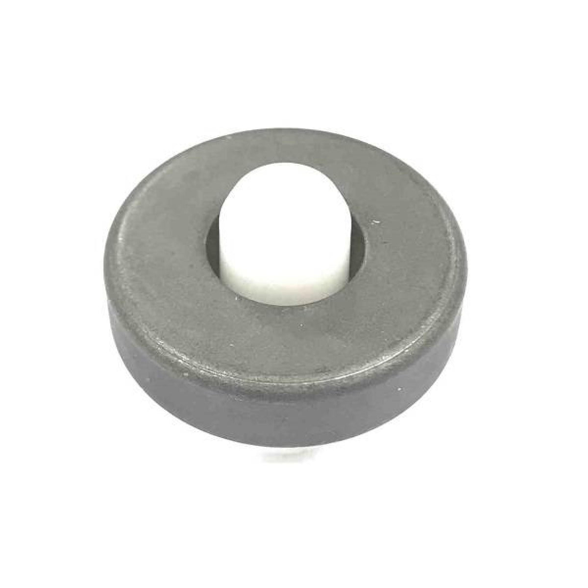Ace Pumps Double Lip Teflon Seal For 200 Series Motor (40153) - BAC-75-200-TLS