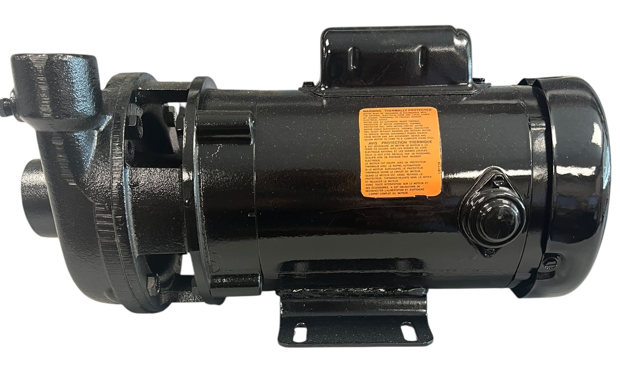 Ace Pumps Electric Driven Centrifugal Pump 1-1/4" Suction X 1" Discharge, 3/4 HP - MPH-100-75SE