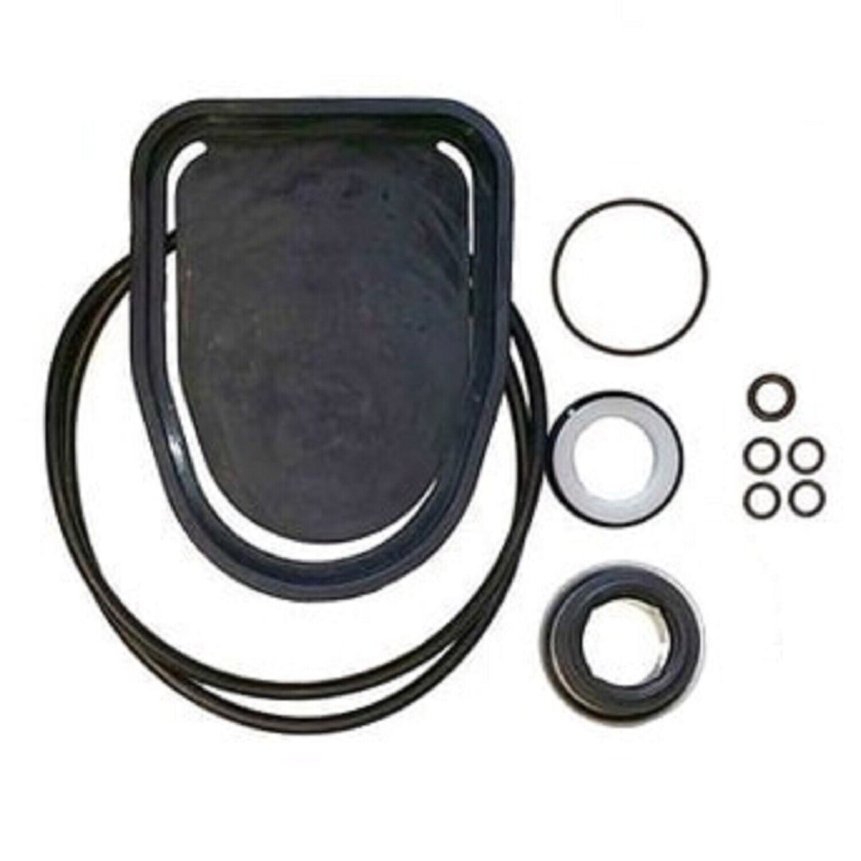 Hypro Seal Kit Poly for Transfer Pump - 3430-0757