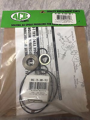 Ace Pumps Repair Kit For 300 Series Motors - RK-BAC-75-HYD-300-L (41362)