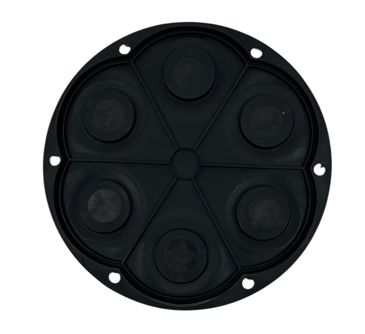 Flowserve Wobble Plate Assembly for Standard CT6 Pumps 12V and 115V - CT6KIT-601