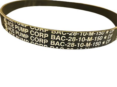 Ace Pumps 10 Groove Belt for PTOC-150-1000, 36", Poly-V - BAC-28-10M-150 (40621)