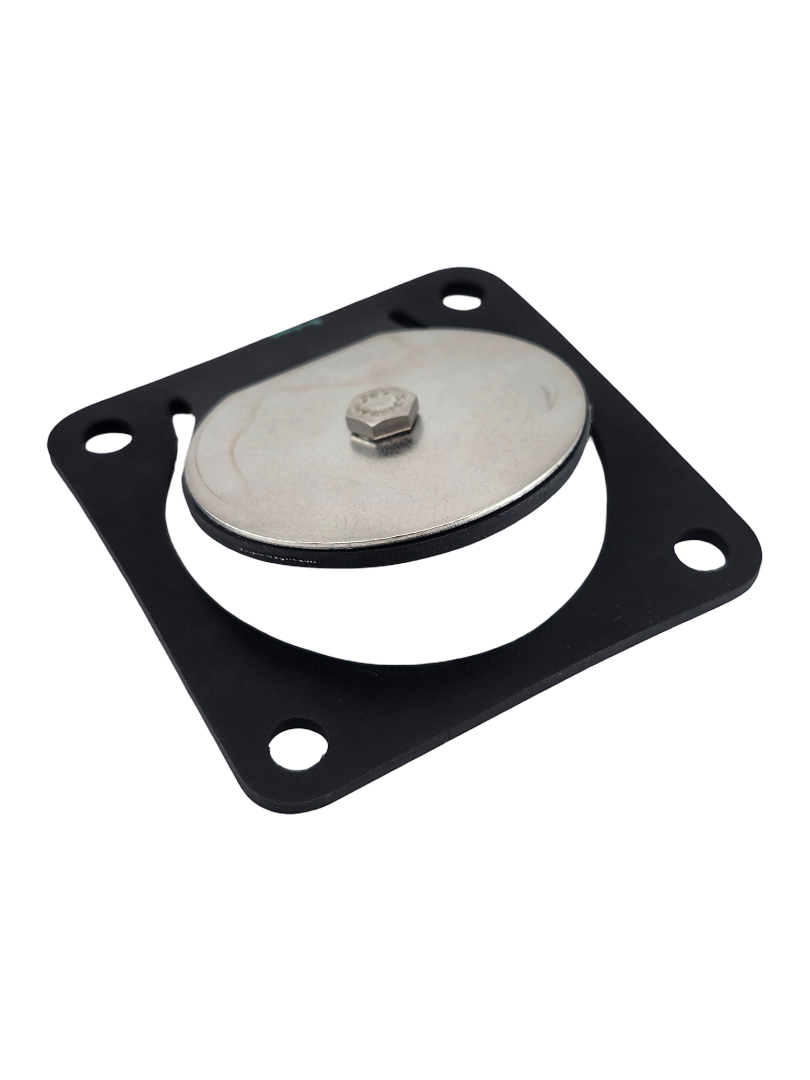 Banjo Inlet Flange Viton Gasket and Check Assembly for Stainless Pumps - 17017