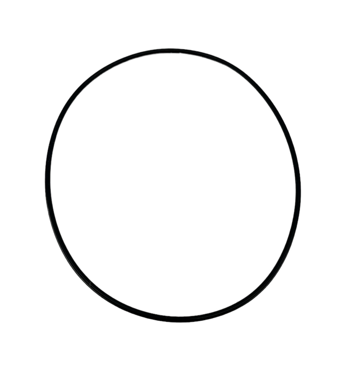 Ace Pumps Body Seal O-Ring for BAC-12 Volute - BAC-4A (40005)