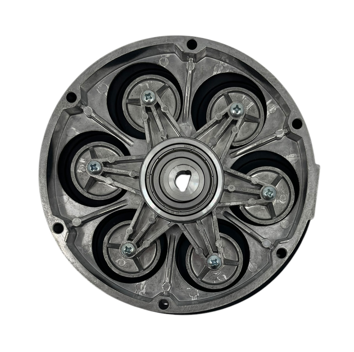 Flowserve Wobble Plate Assembly for Standard CT6 Pumps 12V and 115V - CT6KIT-601