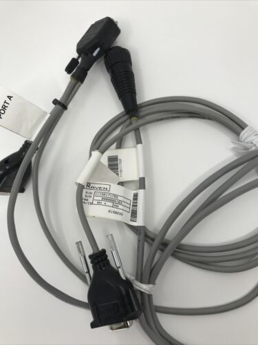 Raven Cruizer II Port Expander Cable With Speed Output - 115-0171-793