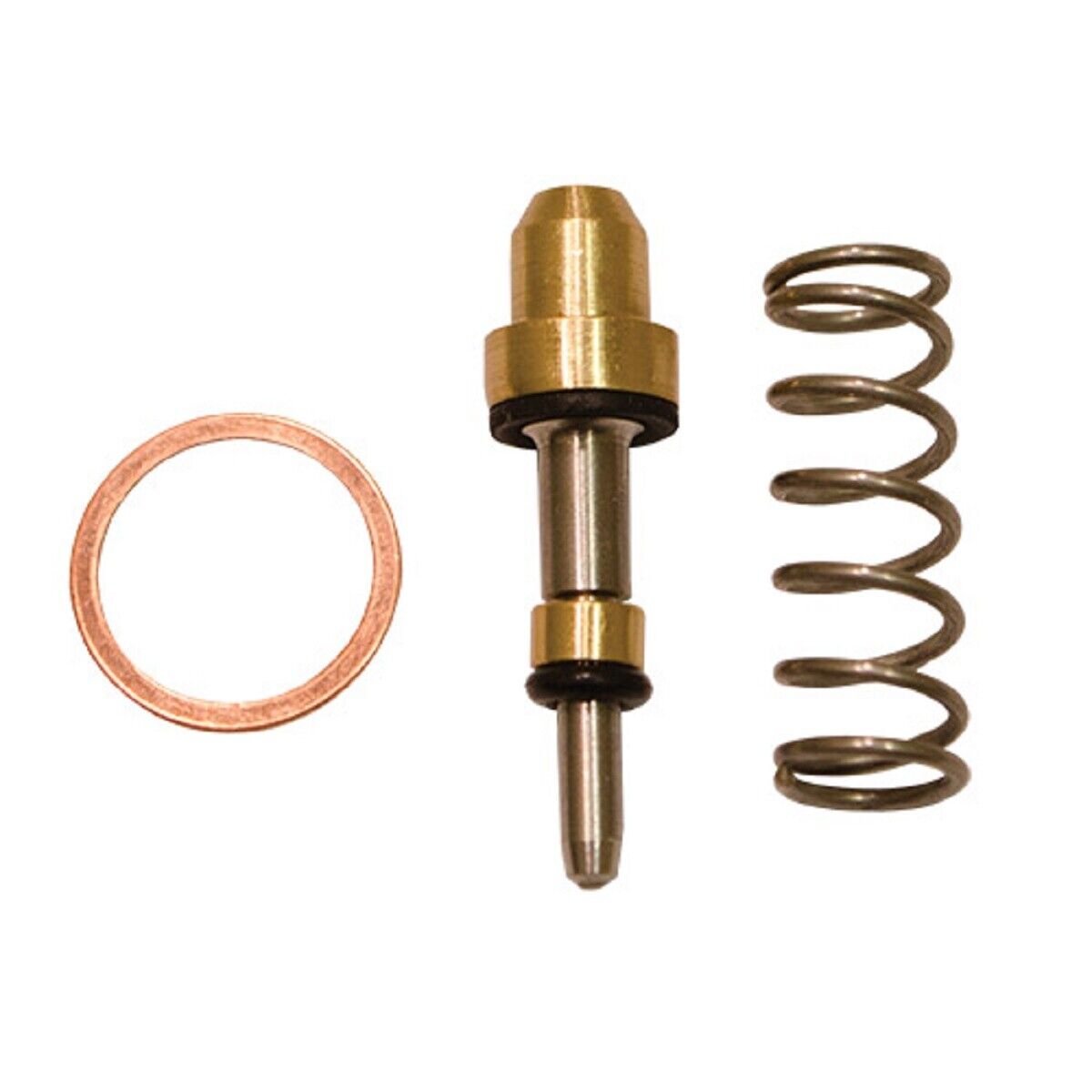 TeeJet Spare Parts Kit for 6466 Series Trigger Valve - AB6466-KIT