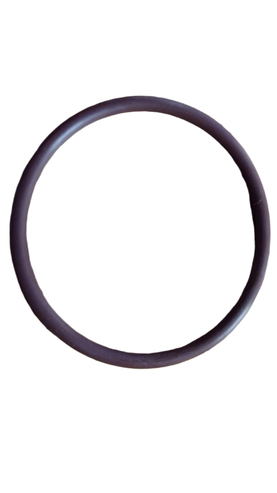 TeeJet Viton O Ring - CP7717-2-129-VI