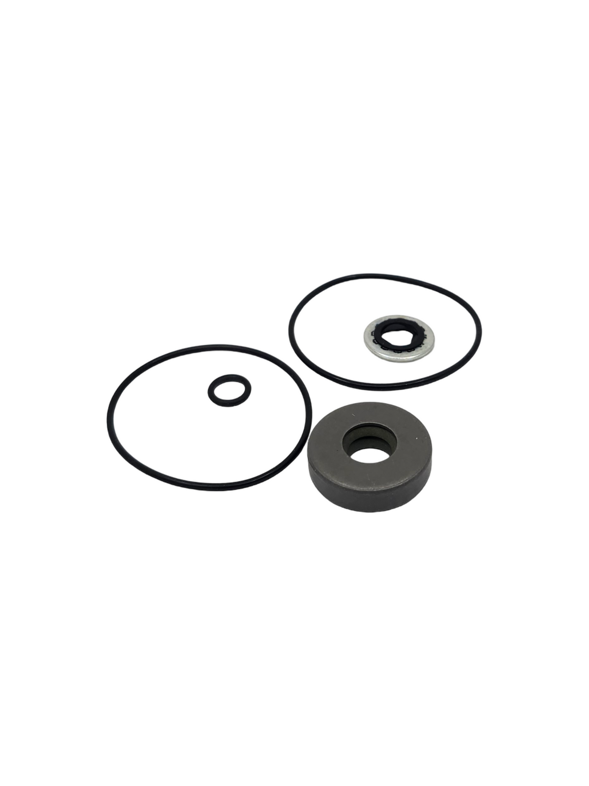 Ace Pumps Repair Kit for 200 Series Motors - RK-BAC-75-HYD-L (41374)