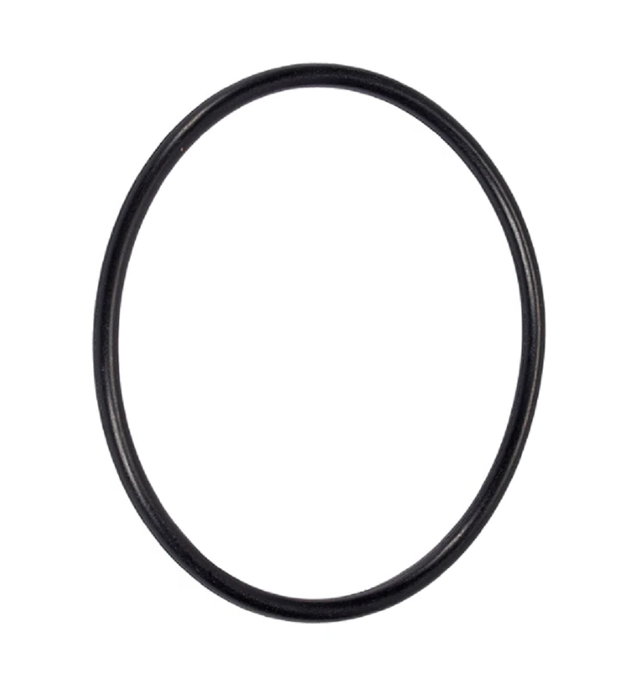Hypro Gasket for Nylon Line Strainers - 1700-0057
