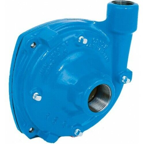 Hypro Cast Iron Pedestal Mount Centrifugal Pump - 9203C-R