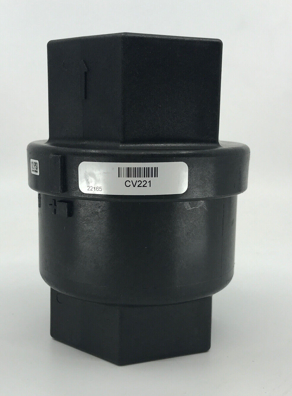 Banjo 2 Inch Female NPT Full Port Check Valve Assembly 300 PSI - CV221