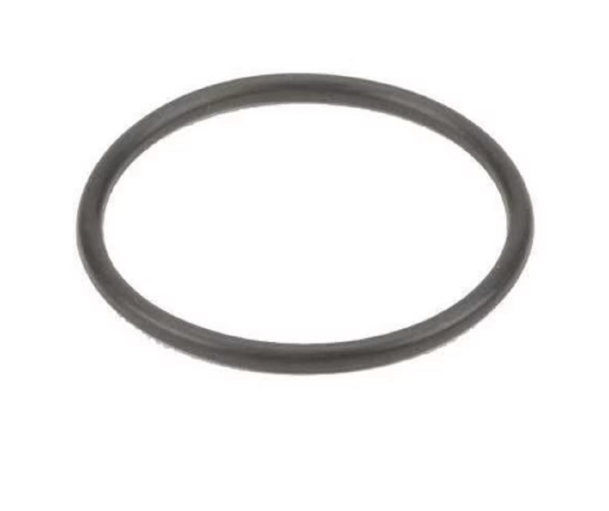 Banjo EPDM T Strainer Gasket for ¾" & 1" Strainers - LST100-G