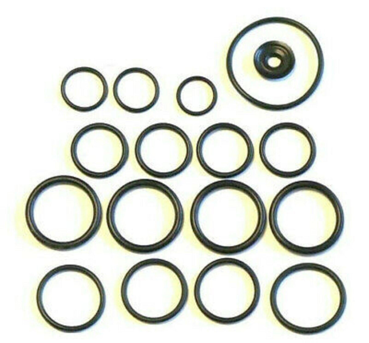 Hypro O-Ring Repair Kit for D30 Diaphragm Pump - 9910-KIT1916