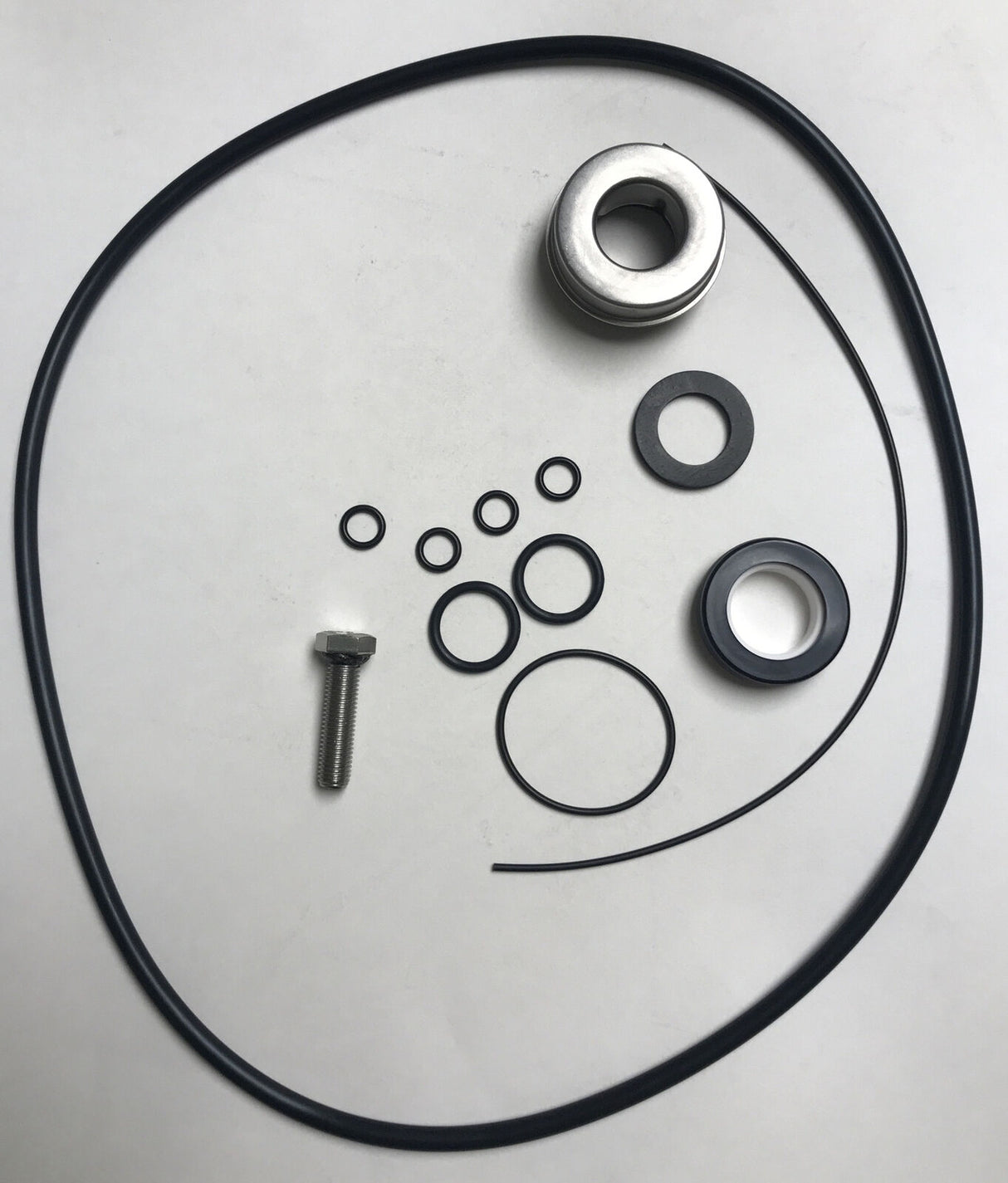 Hypro Seal Repair Kit for Transfer Pumps (1542P) - 3430-0635