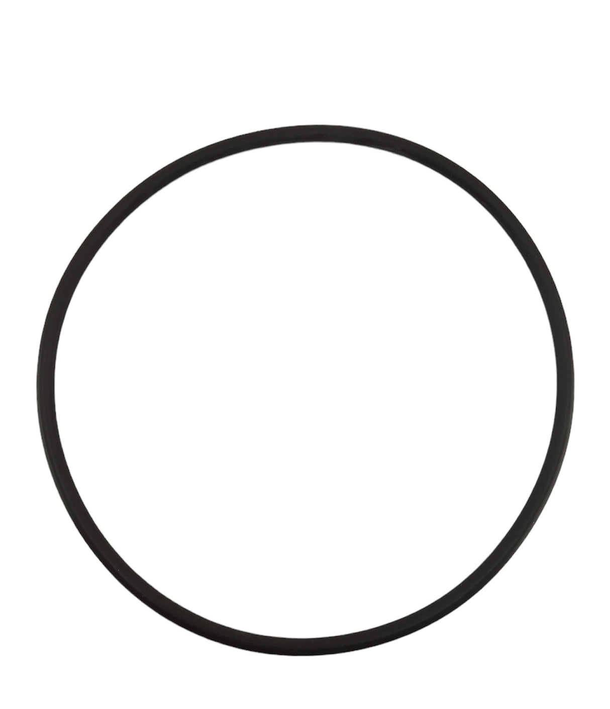 Banjo FKM Cap Gasket for 3 Inch Y Strainers - MLS300GV