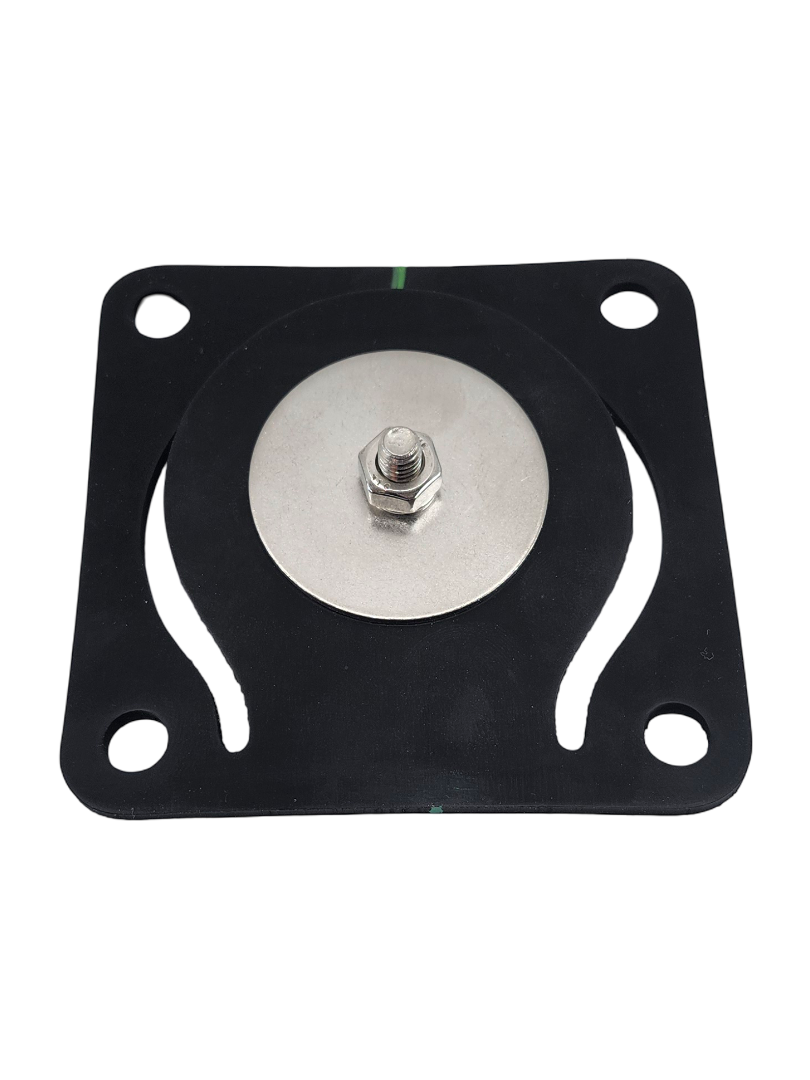 Banjo Inlet Flange Viton Gasket and Check Assembly for Stainless Pumps - 17017