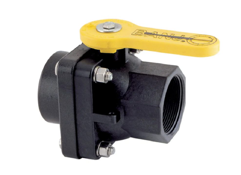 Banjo 2 Inch Full Port Poly Stubby Ball Valve 2" Female X 2" FNPT - VS204FP