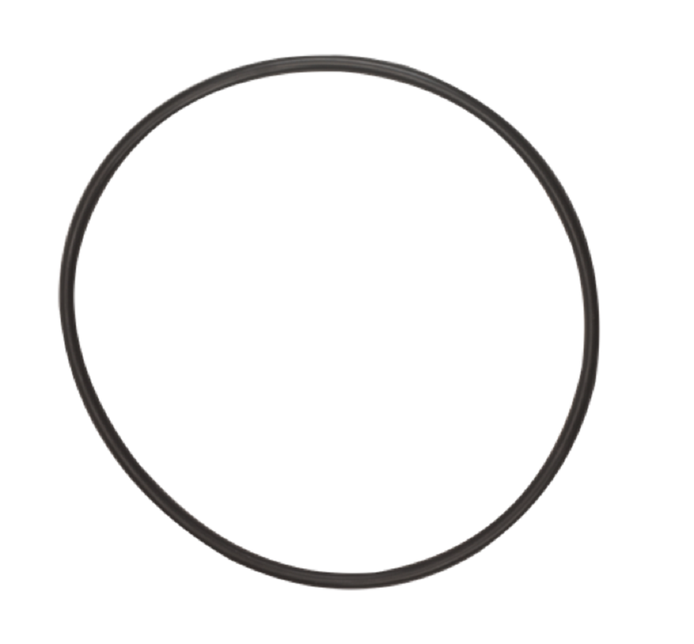 Banjo FKM Cap Gasket for 3 Inch Y Strainers - MLS300GV