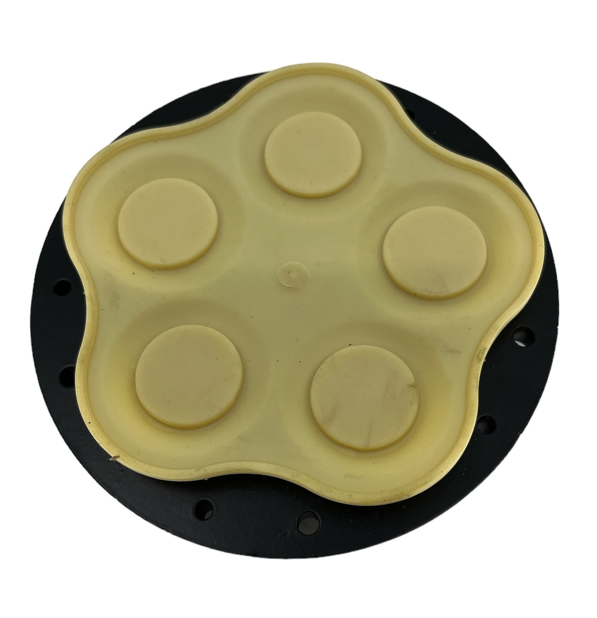 Delavan Lower Housing Assembly For 5850/5950 Series Pumps - LHA-5850